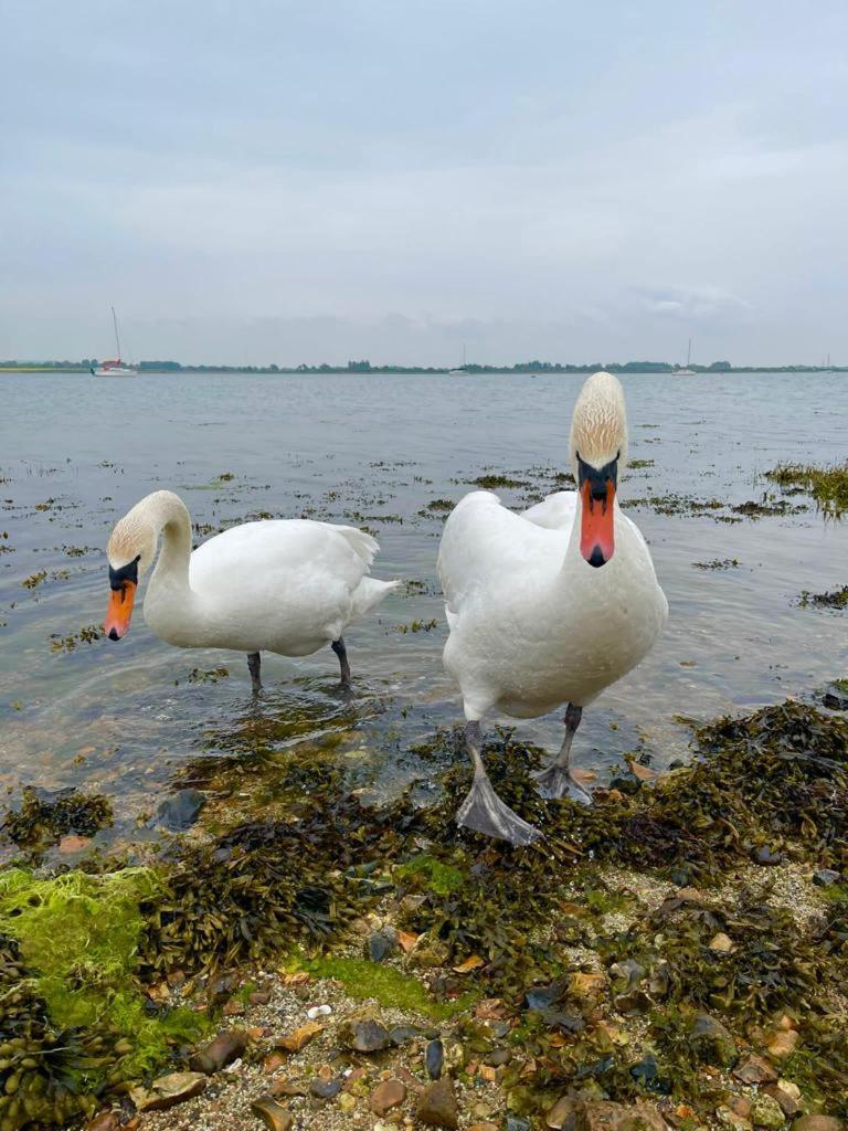 Sea Breeze Ark 900 Hotell Emsworth Exteriör bild